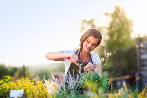 Ongoing review of accessible Landscapers Barnet website