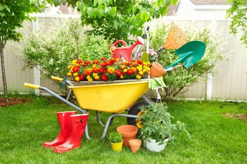 Professional landscapers planting shrubs