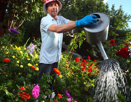 A man wearing a red gardening hat, blue gardening gloves, and a light blue shirt is watering plants in a lush garden. The garden features a variety of colorful flowers, including red, yellow, purple, and pink blooms, arranged alongside green leafy shrubs and small trees. The man is standing on a well-maintained grassy area, with a garden bed filled with vibrant flowers in the foreground. In the background, there are taller trees with dense foliage, providing a natural backdrop under a bright, sunny sky. The watering can is metal, and water flows out in a gentle stream onto the plants. The scene is outdoors, well-lit by natural sunlight, evoking a peaceful garden maintenance moment typical for outdoor landscaping and gardening tasks performed by professionals such as those from Landscapers Barnet, supporting local outdoor care services near Barnet, London.