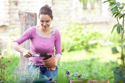 Clean and decluttered garden space in Barnet