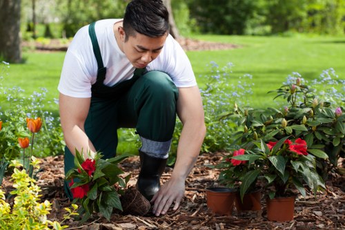 A gardener planting and tending to red flowering plants in a landscaped garden during daytime, with a lush green lawn, small flower beds with orange and yellow blooms, and a backdrop of mature trees and shrubs. The scene features a well-maintained outdoor space with neatly arranged garden beds, mulch ground cover around the plants, and a natural connection to outdoor landscaping and gardening services typical of Barnet, with soft natural lighting indicating fair weather.