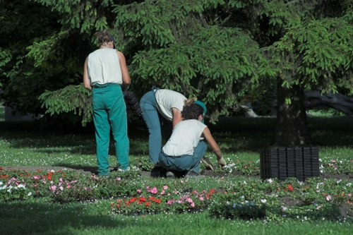 Three individuals are working together in a lush, well-maintained garden in Barnet, surrounded by mature evergreen trees and vibrant flower beds with various colorful blooms. One person is standing, slightly bent forward, while another is crouching down, both appearing to tend to the garden soil or planting. A third individual is kneeling and engaged in gardening tasks, using their hands to work in the flower bed bordered by a neatly trimmed lawn. The garden features a combination of grassy areas, flower borders with pink, red, and white flowers, and dense greenery, including bushes and tall trees providing shade. In the background, dense evergreen trees create a natural backdrop, ensuring privacy and a tranquil outdoor environment. The scene is outdoor, likely under overcast weather, with diffused natural light highlighting the textures of the paving stones, soil, and plant foliage, reflecting professional gardening practices and outdoor maintenance provided by Landscapers Barnet in the local area.