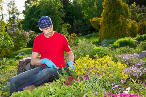 A young man dressed in a red t-shirt, wearing a blue patterned gardening hat and blue gloves, is kneeling on a landscaped garden bed filled with a variety of flowering plants and shrubs. The garden features a mix of colourful blooms, including purple, yellow, and pink flowers, arranged in borders and layers against a backdrop of lush green foliage, tall trees, and neatly trimmed bushes. The ground around the plants appears well-maintained with soil and mulch, and the area is bathed in natural daylight, suggesting a bright, clear day. The scene reflects a carefully tended outdoor space, possibly part of a residential garden or community landscape maintained by professional gardeners from Landscapers Barnet, showcasing attention to detail in planting and garden design, aligned with gardening and landscaping services in Barnet or the surrounding area.