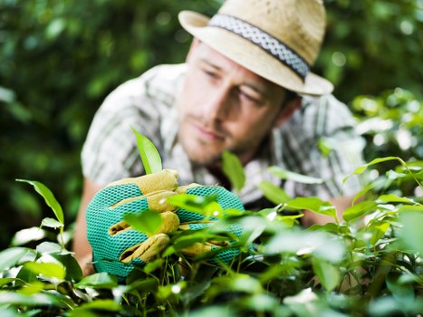 Landscapers Barnet operating safely with insurance and protective equipment