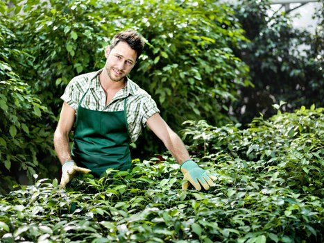 Supplier audit documents and compliance checks for landscaping procurement