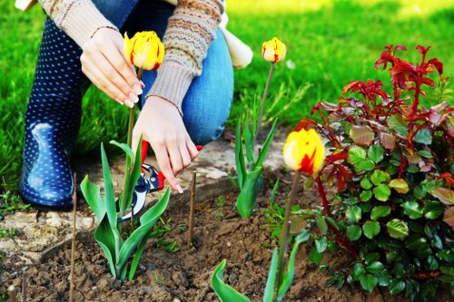 A close-up view of a person's hands planting yellow tulips in dark, moist soil within a garden bed. The individual is wearing a multicoloured knitted sweater, blue jeans, and blue rubber boots with white polka dots. To the right, there is a small, dense shrub with dark red and green leaves, and the background features a lush, well-maintained green lawn. The scene is illuminated by natural daylight, suggesting a clear or partly cloudy weather conditions. The garden includes a defined flower bed bordered by stones or bricks, leading to an outdoor space maintained by a professional gardening service such as Landscapers Barnet, located in Barnet, North London. This image emphasizes planting activity in a suburban garden, supporting services related to planting, garden design, and outdoor maintenance in local areas like Barnet.