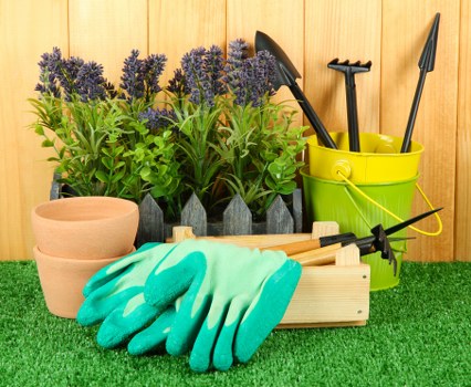 Expert tree pruning and shaping