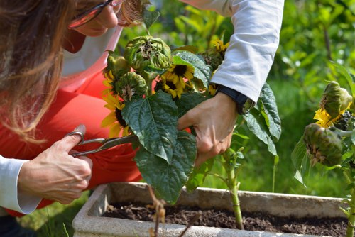 Free quote policy for local landscaping rubbish removal